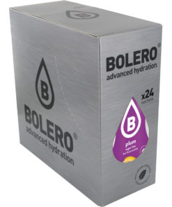 boissons bolero prune boite de 24